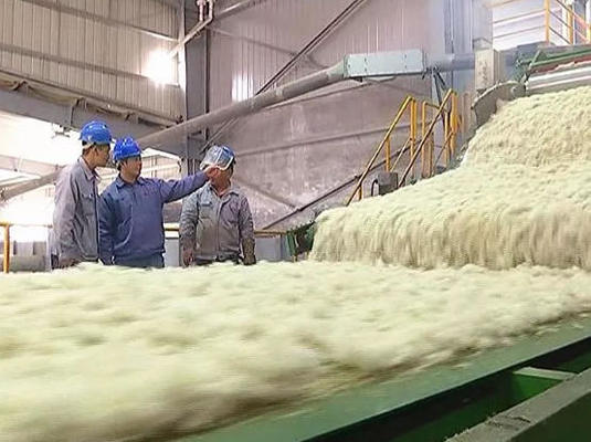 Harga yang bagus Mineral Wool Board Production Line with 1200-2400mm Board Width 80-200kg/m3 Density and 380V/50Hz Power Supply on line